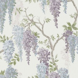 Laura Ashley Wisteria tapeet