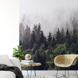 fototapeet Foggy Forest 5433-4-interior