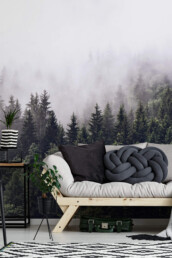 fototapeet Foggy Forest 5433-8-interior