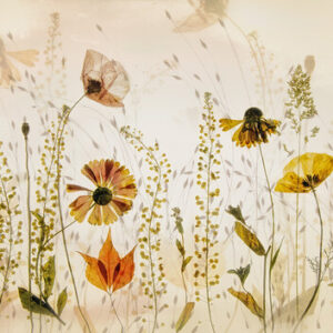 fototapeet R19141_Midsummer-Meadow