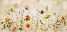 fototapeet R19141_Midsummer-Meadow